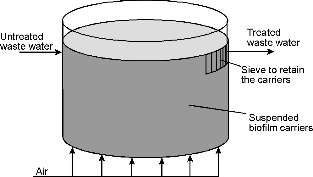 Bioreactor